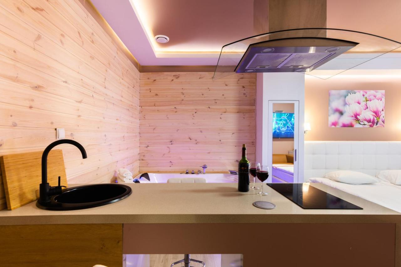Melody De Luxe Apartment Michalowice  Esterno foto